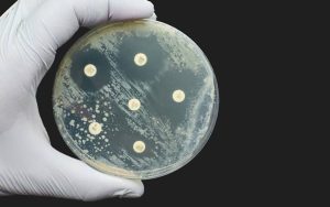 New £4m digital hub to tackle antimicrobial resistance