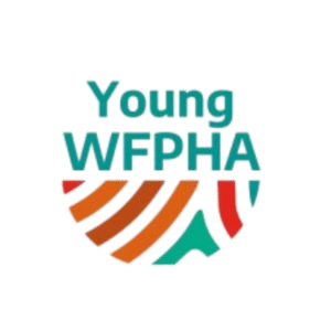 Empowering Young Public Health Professionals with AI: Shaping the Future of Primary Healthcare in the Digital Age