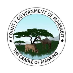 One health, one boarder: a digital health summit for moyale